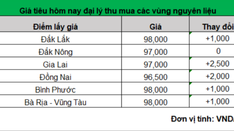 Giá tiêu tiếp tục lạc quan đi lên, thiếu nguồn cung toàn cầu