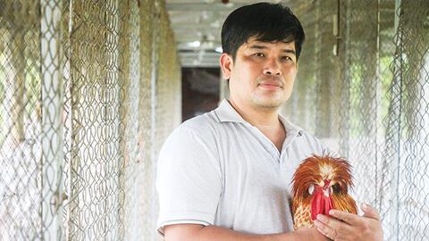 Mô hình “độc, lạ” - nuôi gà, vịt làm thú cưng 