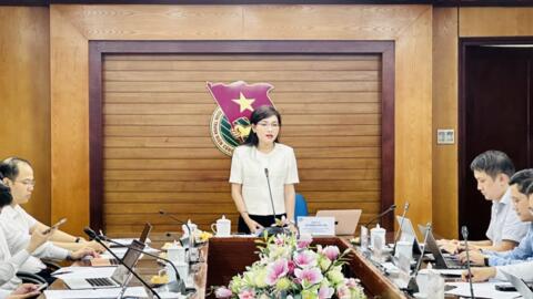 Góp ý đề án chuyển đổi số các hoạt động của Hội Sinh viên