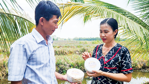 “Khoác áo mới” cho khóm Cầu Đúc 