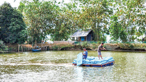 Thu hoạch hơn 800.000 tấn thủy sản 