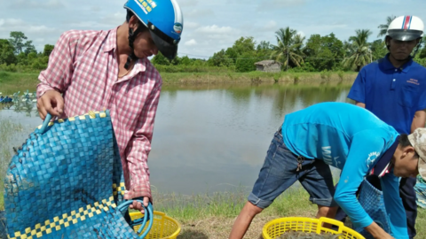 Mở lối đi mới để nuôi hy vọng 