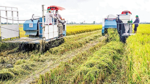 Mô hình thí điểm thành công, thuận lợi nhân rộng 