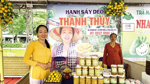 Lập nghiệp với hạnh sấy dẻo 