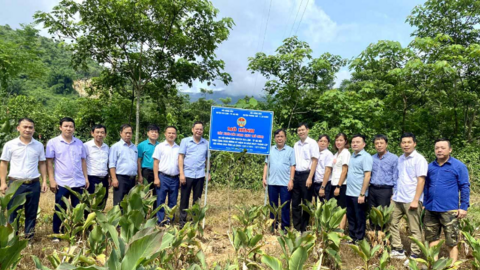 Hội Nông dân huyện Gia Lâm hỗ trợ nông dân Phong Thổ trồng xoài Đài Loan