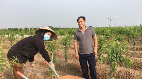 Vân Tảo hòa nhịp đô thị hiện đại, xứng đáng “Cửa ngõ Thủ đô”