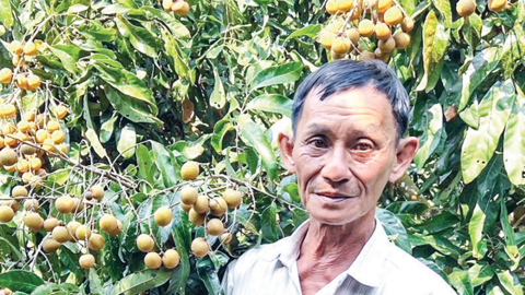 Hỗ trợ hợp tác xã khai thác lợi thế sản phẩm địa phương 