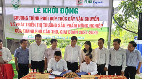 Phối hợp thúc đẩy vận chuyển và phát triển thị trường sản phẩm nông nghiệp của TP Cần Thơ 