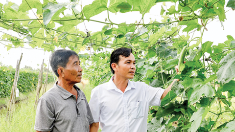 Khích lệ, hỗ trợ nông dân sản xuất 