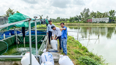 Hỗ trợ nông dân thực hiện mô hình nuôi cá chạch 