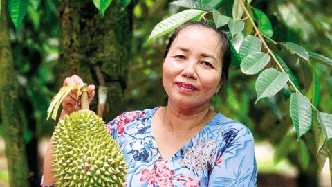 Hỗ trợ chủ thể OCOP làm thương hiệu sản phẩm 