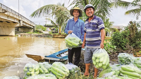 Ða dạng rau màu mùa nước lũ 