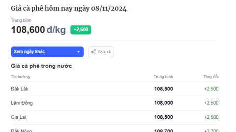 Giá cà phê bất ngờ tăng vọt đồng loạt, Đắk Nông tăng giá thu mua cà phê cao nhất hôm nay