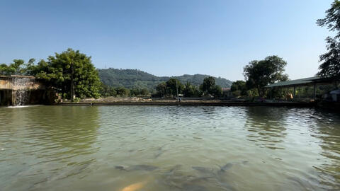 Một nông dân Lào Cai thu tiền triệu nhờ nuôi cá đặc sản