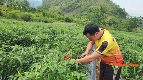 Lai Châu: Mường Than nỗ lực kéo giảm tỷ lệ hộ nghèo