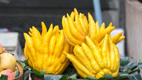 Công dụng chữa bệnh của quả phật thủ