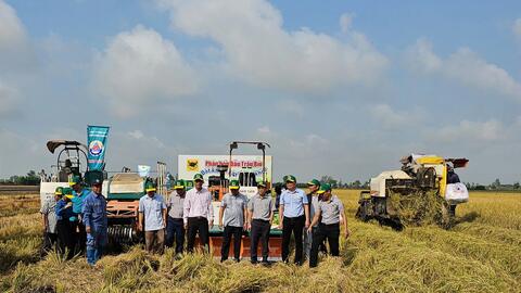 Để ngành hàng lúa gạo phát triển bền vững 