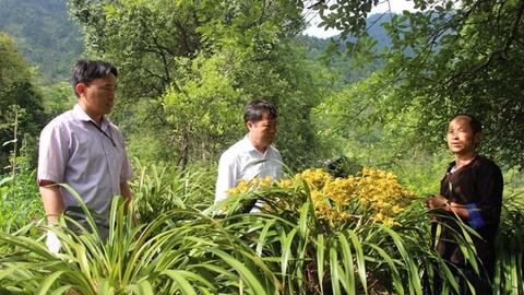 Mù Cang Chải: Mật ngọt từ rừng, sinh kế bền vững từ ong