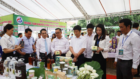 Gian nan vượt núi, tìm đường cho sản vật vùng cao Quảng Bình