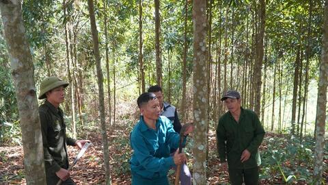 Đồng bào dân tộc miền núi Lai Châu chuyển mình làm kinh tế hàng hóa