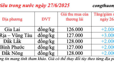 Giá tiêu hôm nay 27/6/2025: trong nước thị trường phục hồi, tăng cao