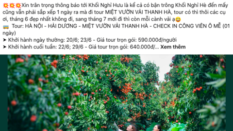 Du lịch nông sản 0 đồng ‘hút khách’ mùa hè