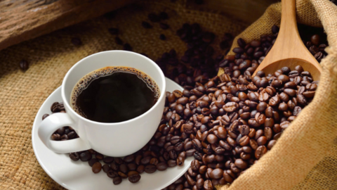 Giá cà phê Robusta quay đầu phục hồi về mức 3.904 USD/tấn