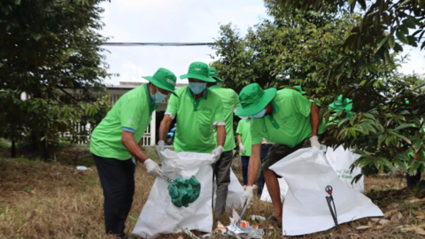 Thu gom, xử lý bao gói thuốc bảo vệ thực vật, bảo vệ môi trường 
