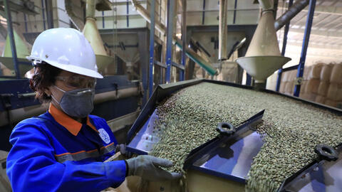 Ưu đãi thuế từ EVFTA giúp nông sản Đắk Lắk gia tăng lợi thế tại EU