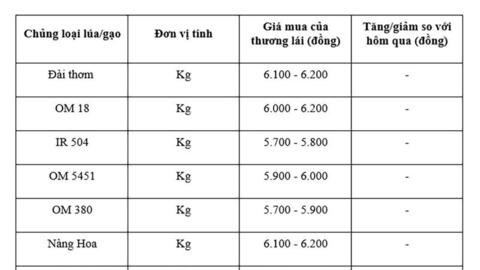 Giá lúa gạo hôm nay ngày 28/7: Gạo nguyên liệu xuất khẩu tiếp đà tăng