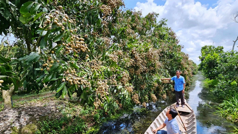 Lấy ý kiến góp ý cho Đề án sản xuất trồng trọt giảm phát thải 
