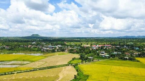 Lúa đặc sản ‘hồi sinh’ vùng đất núi lửa Nâm Blang