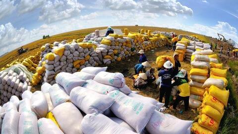 Doanh nghiệp Việt đã chi 1 tỷ USD nhập khẩu gạo trong 7 tháng đầu năm 2025