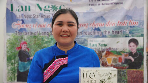 Đồng bào vùng cao đưa hoa hồi, trà hoa vàng vươn tầm giá trị mới