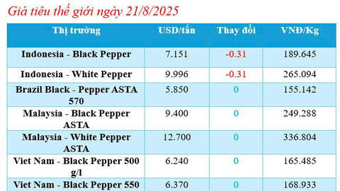 Giá tiêu hôm nay 21/8/2025: Giữ giá cao, ít biến động