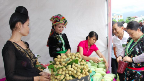 Sơn La tiếp tục mở rộng thị trường cho nông sản và thực phẩm an toàn