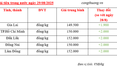 Giá tiêu hôm nay 29/8/2025: Nội địa tăng mạnh 2.000 đồng/kg
