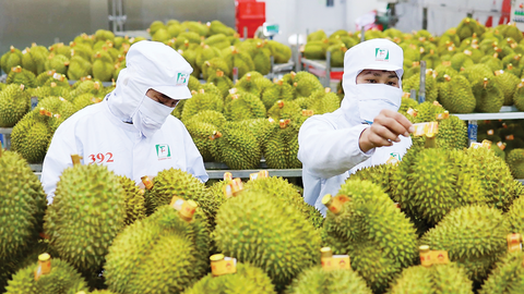 Thủ tướng chỉ đạo tăng cường truy xuất nguồn gốc nông, lâm, thủy sản xuất khẩu