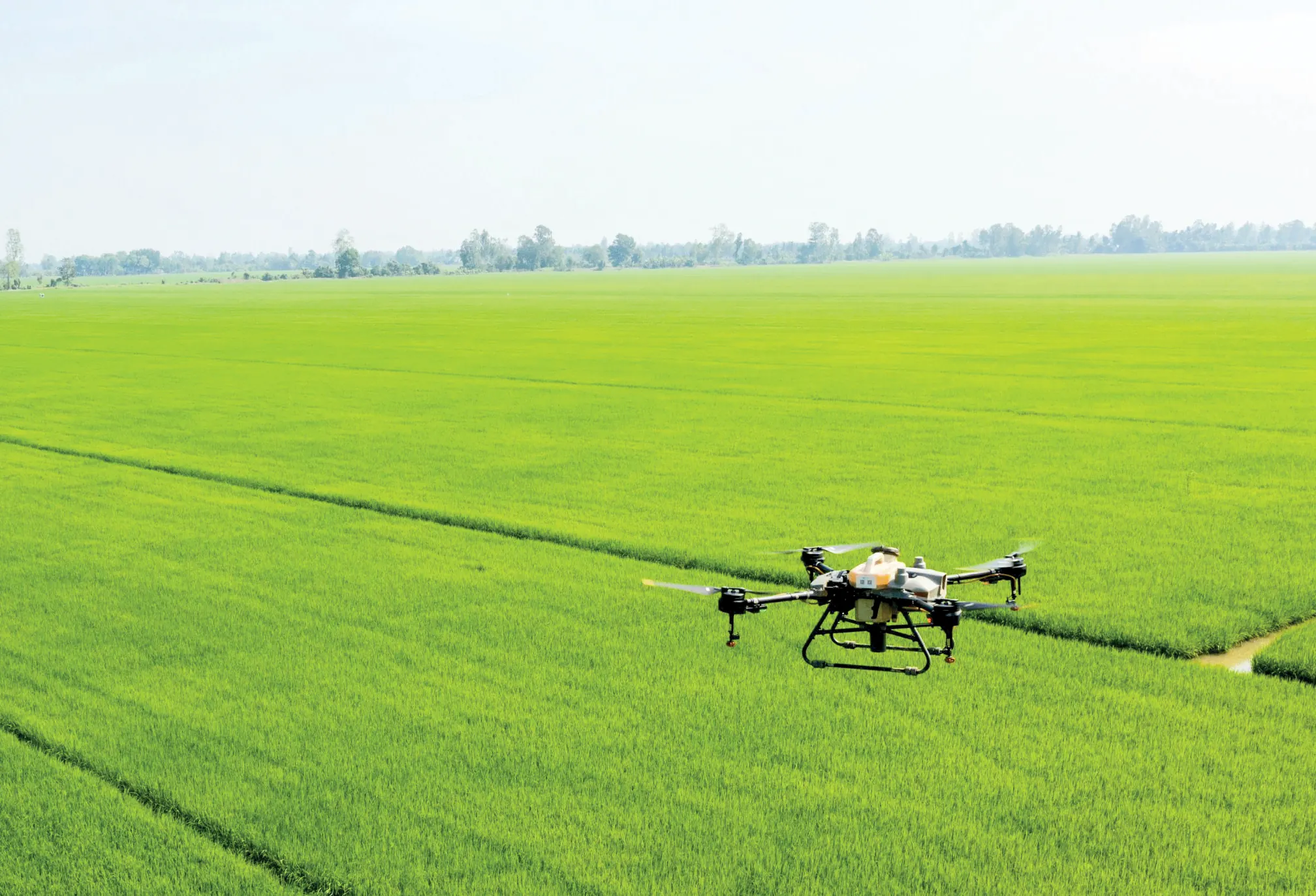 Nhiều giải pháp hỗ trợ sản xuất lúa an toàn, hiệu quả 