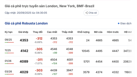 Giá cà phê hôm nay 20/9/2025: Trong nước đi ngang