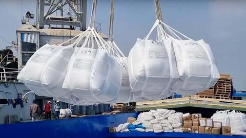 Giá gạo thế giới biến động: Cơ hội nào cho xuất khẩu của Việt Nam?