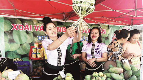 Nông sản Yên Châu vươn mình ra thế giới