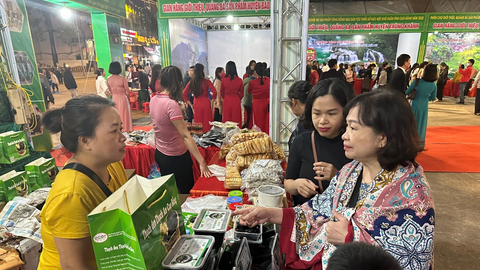 Hợp tác xã Cao Bằng đẩy mạnh liên kết chuỗi, nâng tầm giá trị nông sản