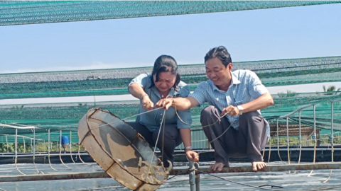 Khảo sát nuôi tôm thẻ siêu thâm canh, ứng dụng công nghệ cao 