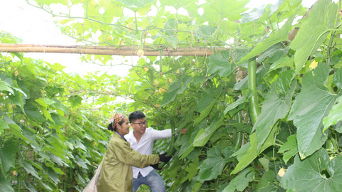 Nông sản đồng bào dân tộc vươn tới thị trường lớn nhờ đổi thay sản xuất