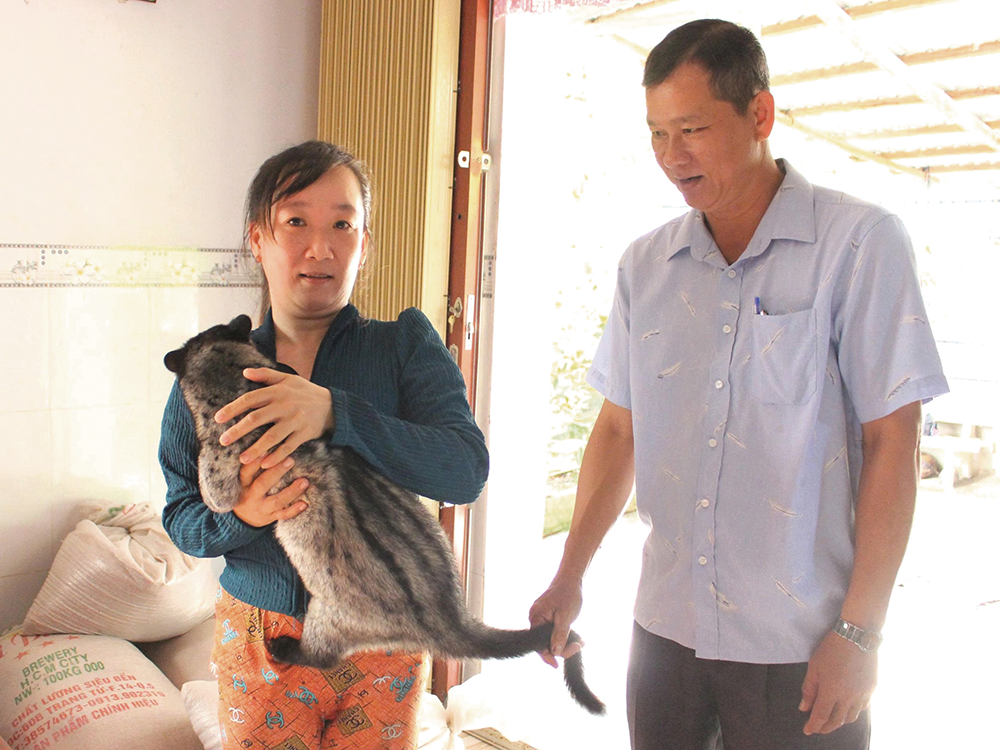 Phát triển kinh tế với mô hình nuôi chồn hương 