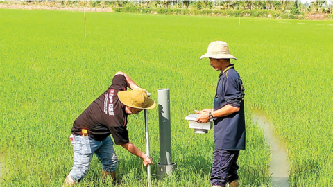 Chuyển đổi cơ cấu cây trồng, phát triển nông nghiệp bền vững 