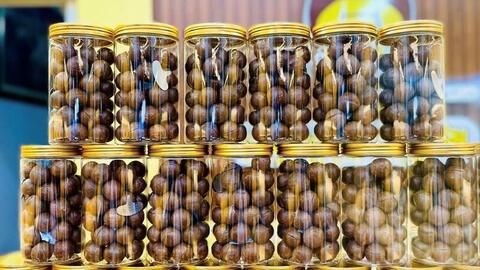 Gia Lai: Trái ngọt macca trên vùng đất khó Kbang