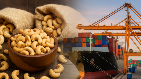 Xuất khẩu hạt điều duy trì đà tăng trưởng vững chắc