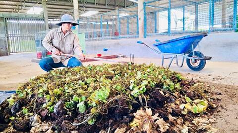 Nông nghiệp sạch từ việc xử lý phế phẩm làm phân bón hữu cơ